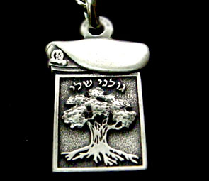 חטיבת חי"ר גולני KOIDF009