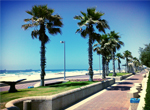 Kshatot Beach Fair px150x110